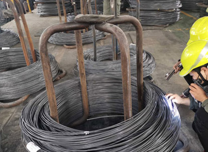 Görünüm Algılama-Canlı